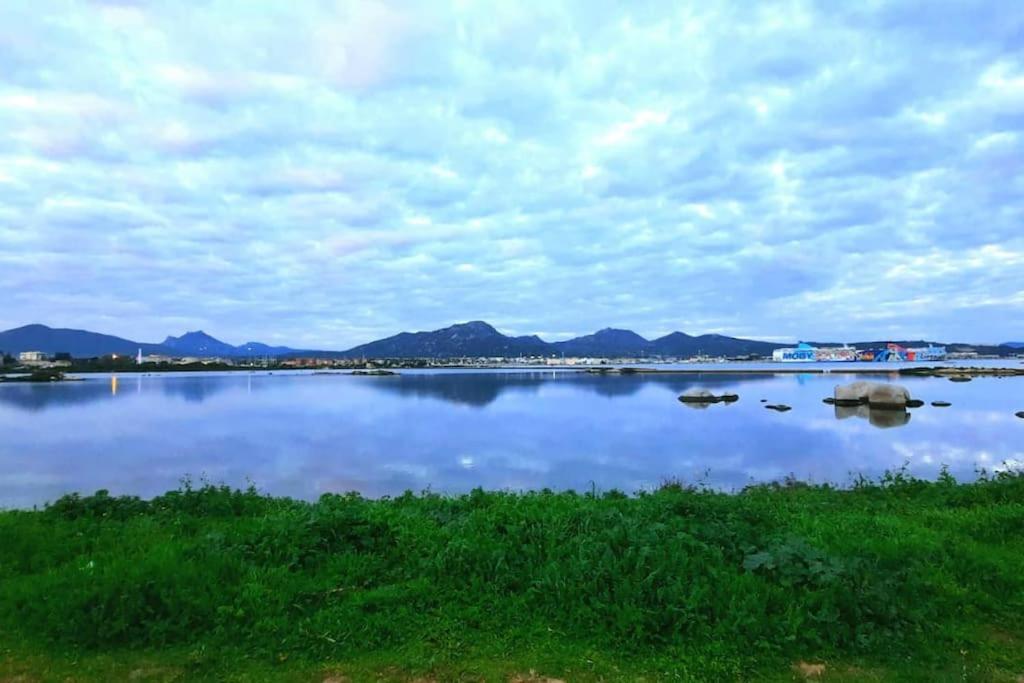 Airport Apartment Olbia